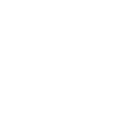 human